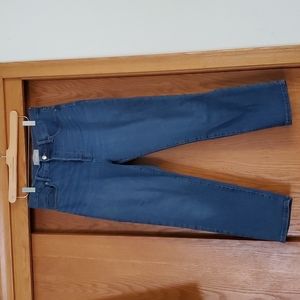 Everlane The Authentic Stretch High-Rise Cigarette Jean